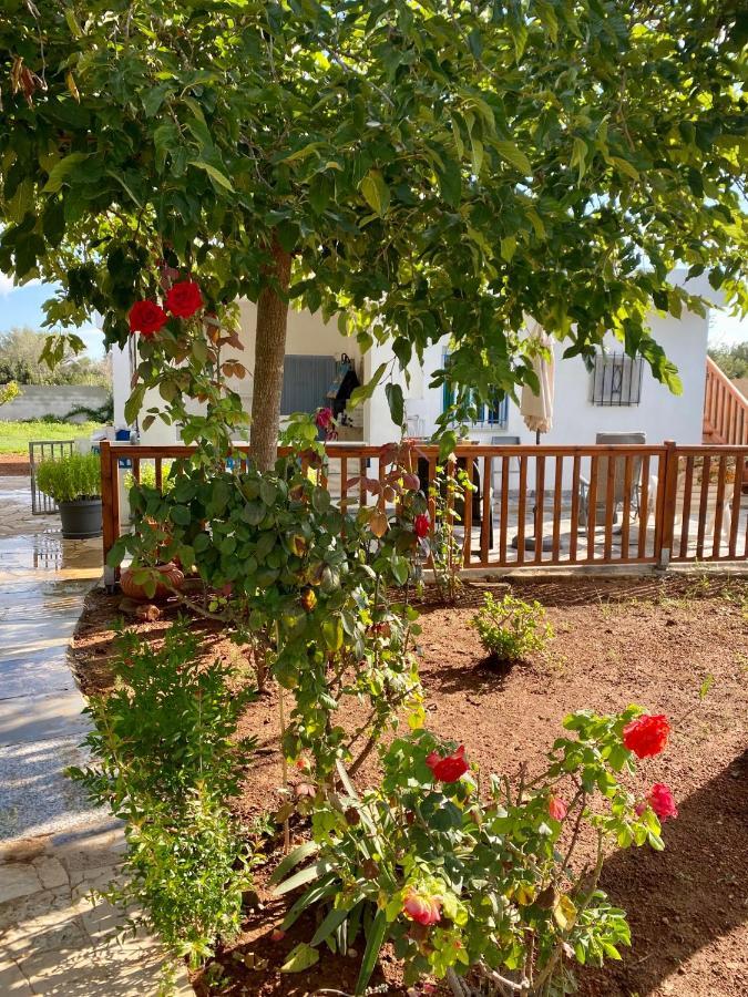Casa Dominaty Bed & Breakfast Calig Ngoại thất bức ảnh