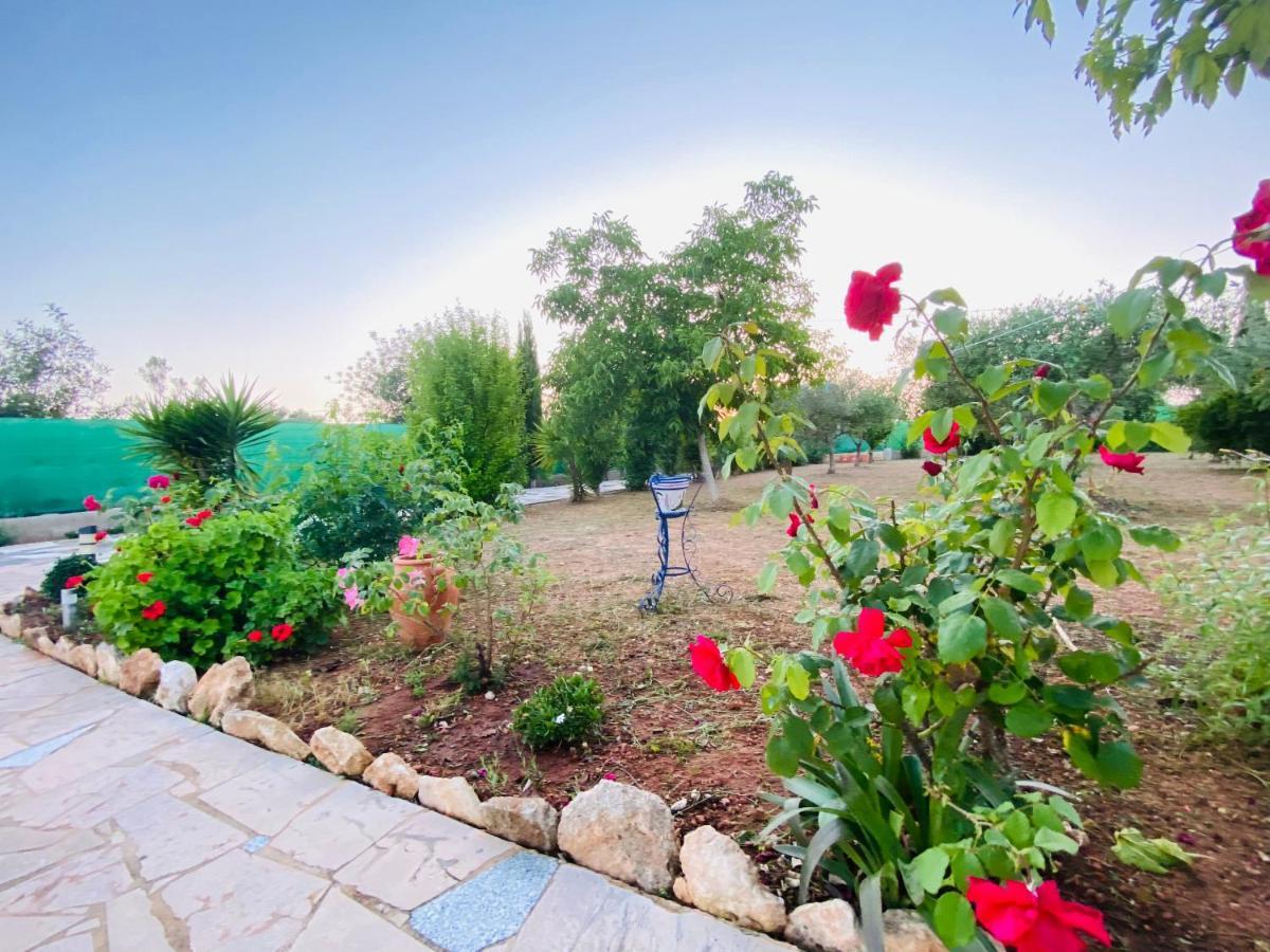 Casa Dominaty Bed & Breakfast Calig Ngoại thất bức ảnh